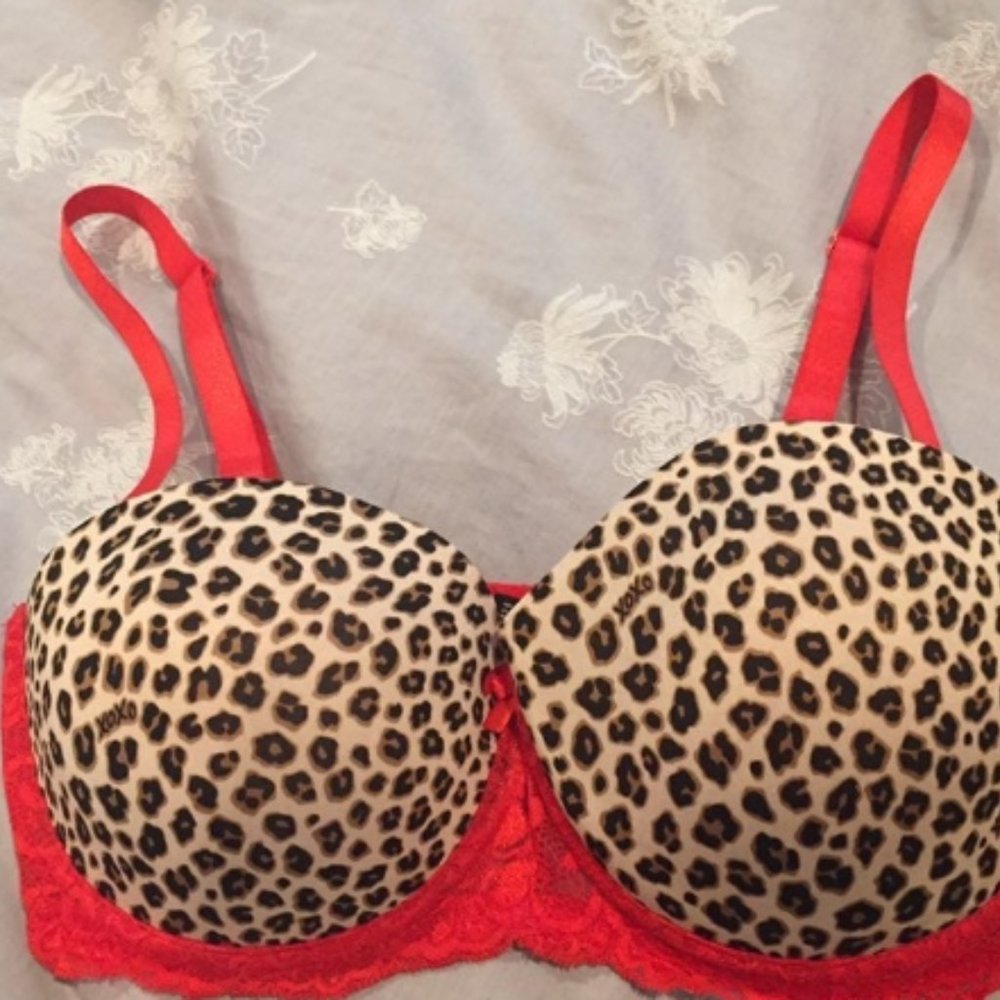 XOXO Leopard Red Bra 36D